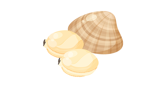 イラスト：アサリ