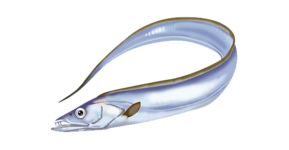 イラスト：タチウオ