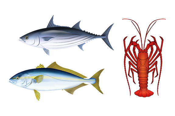 イラスト：秋の魚のイメージ