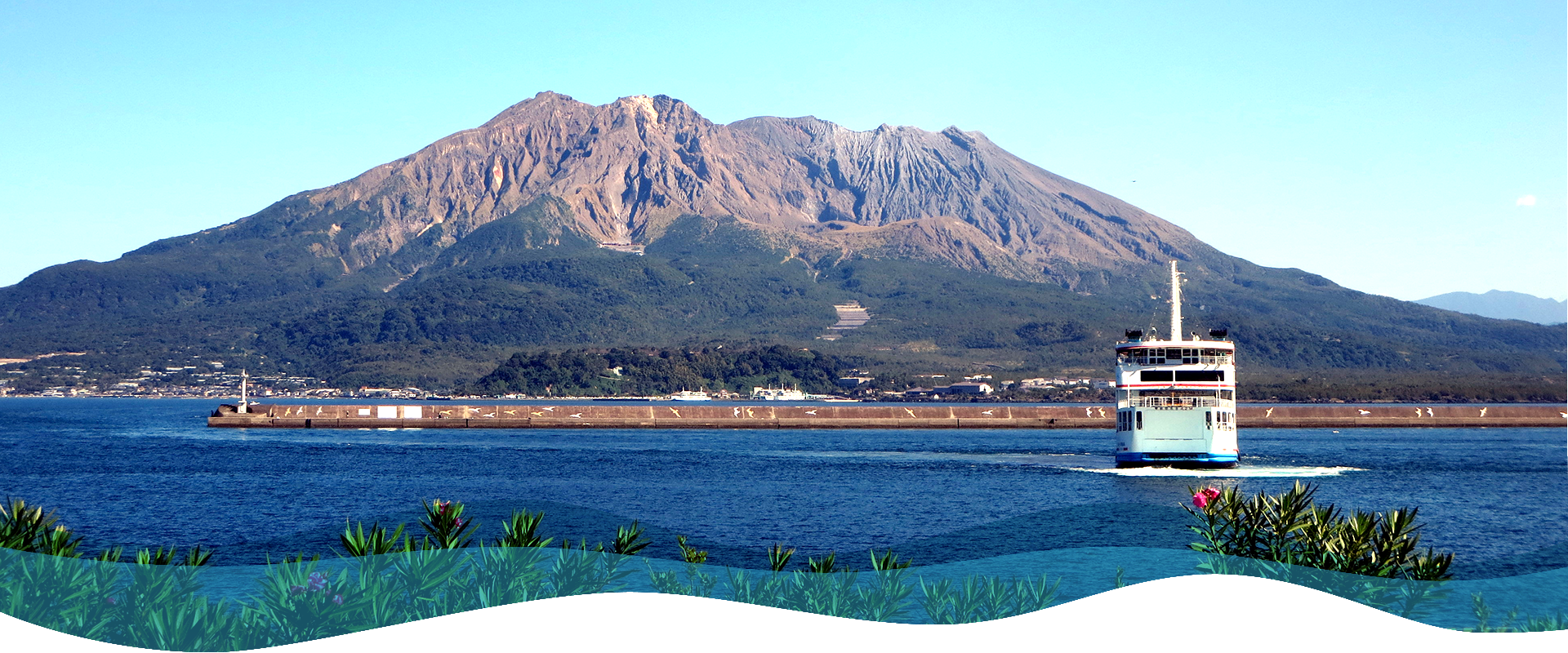鹿児島水産物取引清算株式会社