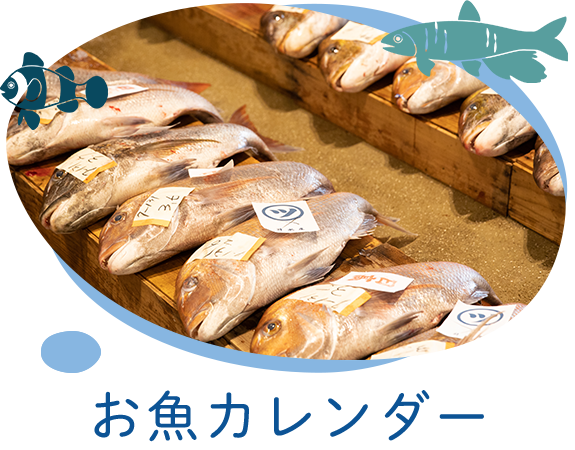 お魚カレンダー