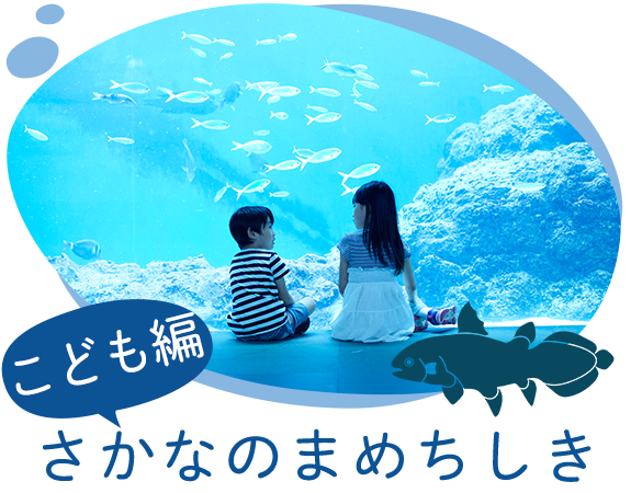 さかなのまめちしき（こども編）